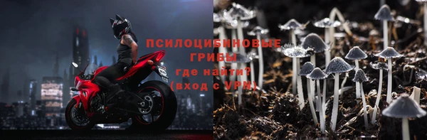 дживик Белая Холуница