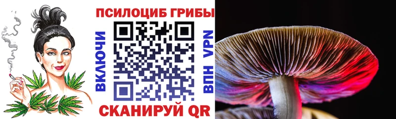 Псилоцибиновые грибы мухоморы  магазин  наркотиков  Голицыно 